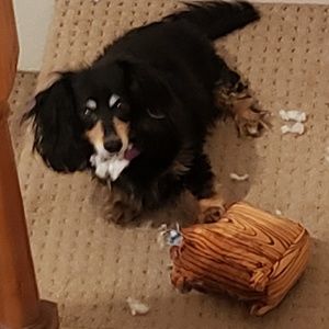 Meet your Posher, Becky